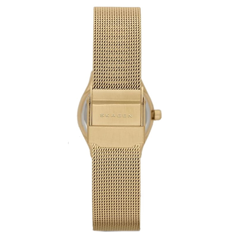 Zegarek damski Skagen Grenen SKW2045 Twoje Zegarki
