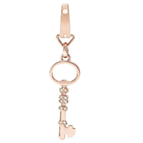 Charms Fossil Rose Key JF00761791