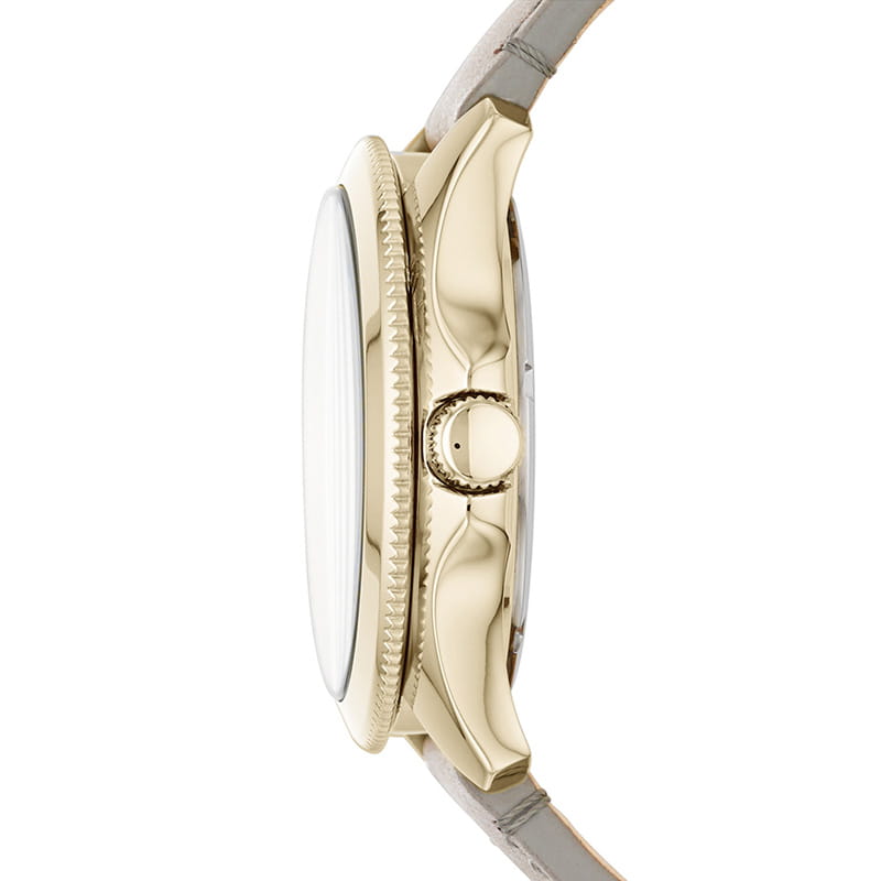 Zegarek damski Fossil Cecile Multifunction AM4529 Twoje Zegarki