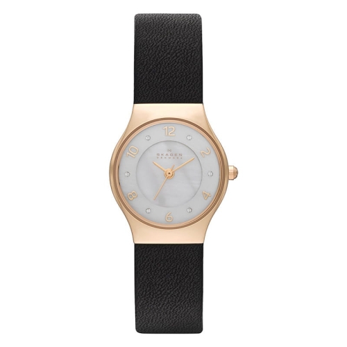 Zegarek Skagen Grenen SKW2209