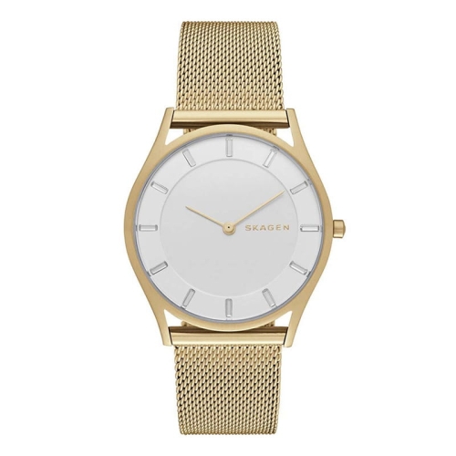Zegarek damski Skagen Holst SKW2377