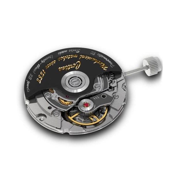 Zegarek Certina DS-1 Powermatic 80 Himalaya C0298071603160 Twoje Zegarki