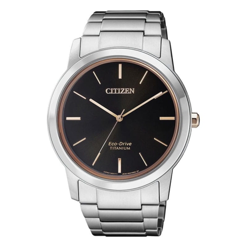 Zegarek Citizen Titanium AW2024-81E