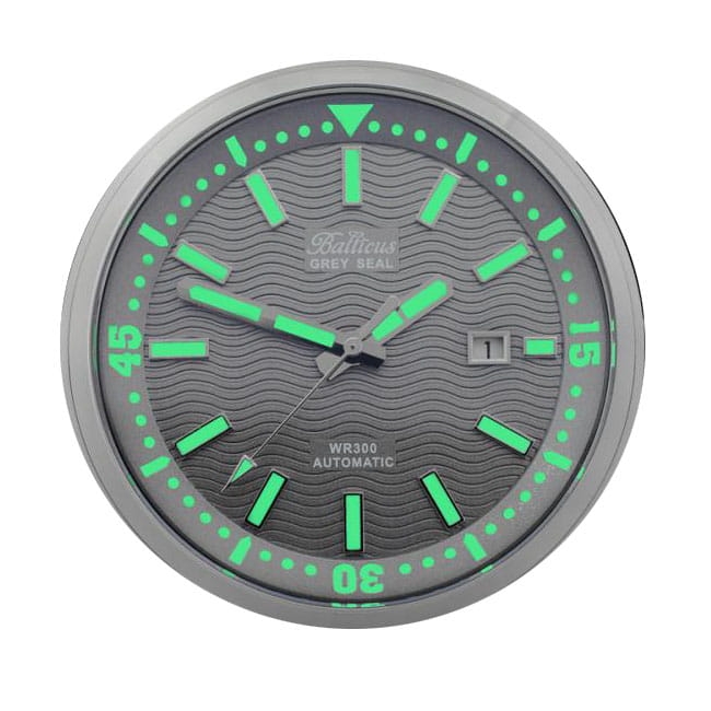 Balticus Grey Seal Grey Twoje Zegarki