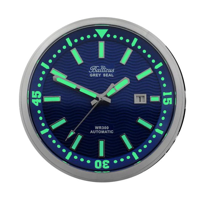 Balticus Grey Seal Blue Twoje Zegarki