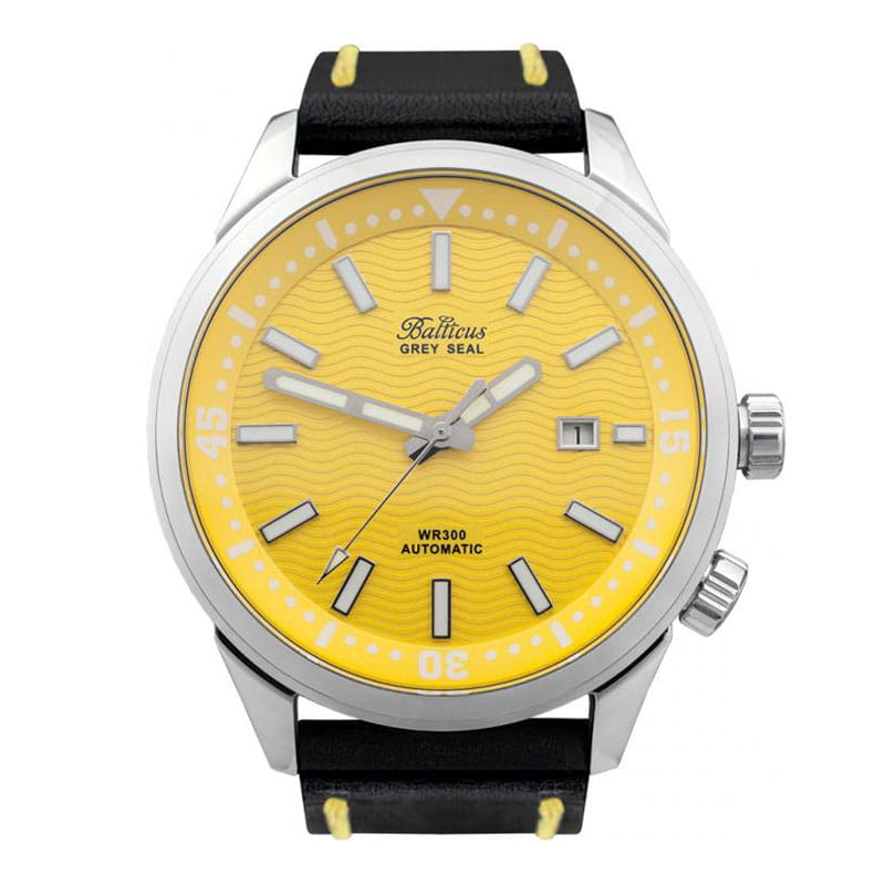 Balticus Grey Seal Yellow Twoje Zegarki