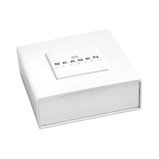 Naszyjnik Skagen Katrine SKJ1058998 Twoje Zegarki