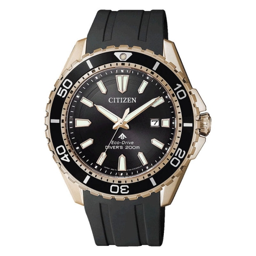 Zegarek Citizen Promaster Divers BN0193-17E