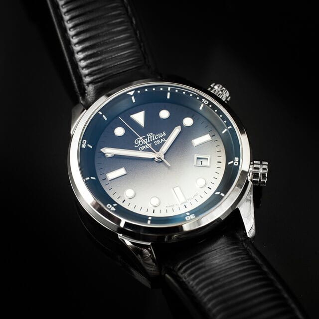 Balticus Grey Seal II Twoje Zegarki