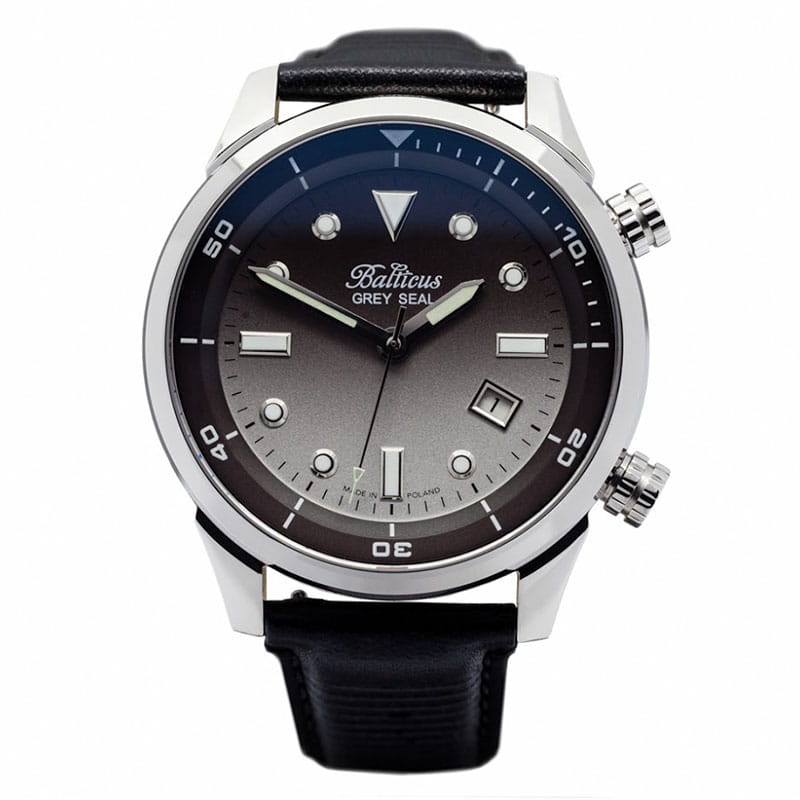 Balticus Grey Seal II Twoje Zegarki