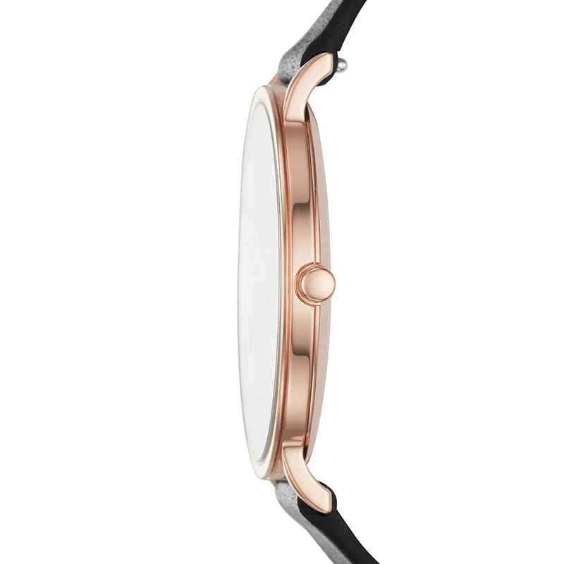 Skagen Hagen SKW6447 Twoje Zegarki