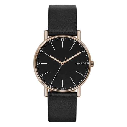 Zegarek Skagen Signatur SKW6401