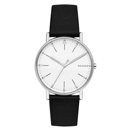Zegarek Skagen Signatur SKW6353