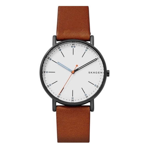 Zegarek Skagen Signatur SKW6374