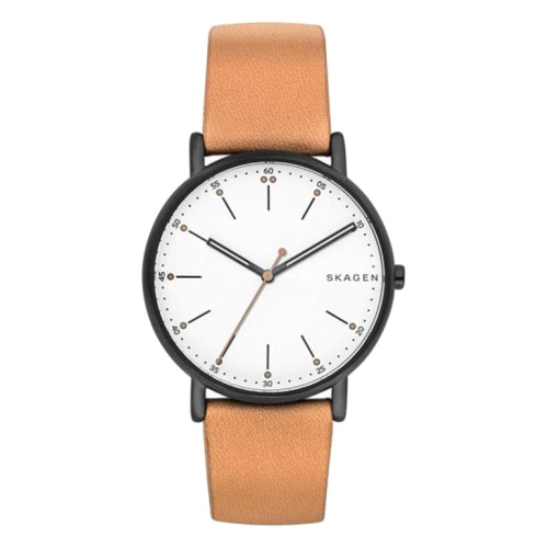 Zegarek Skagen Signatur SKW6352