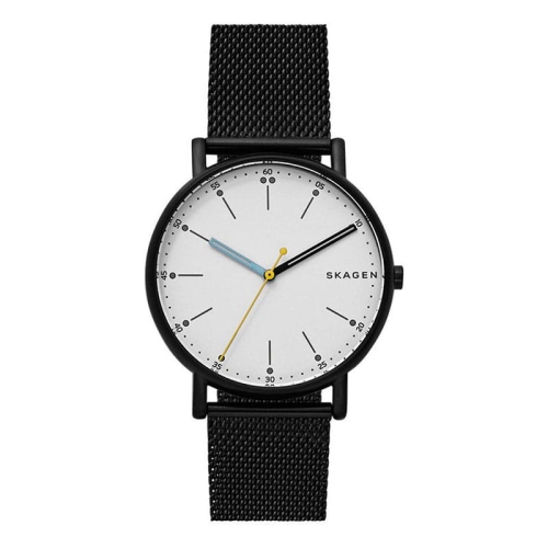 Zegarek Skagen Signatur SKW6376