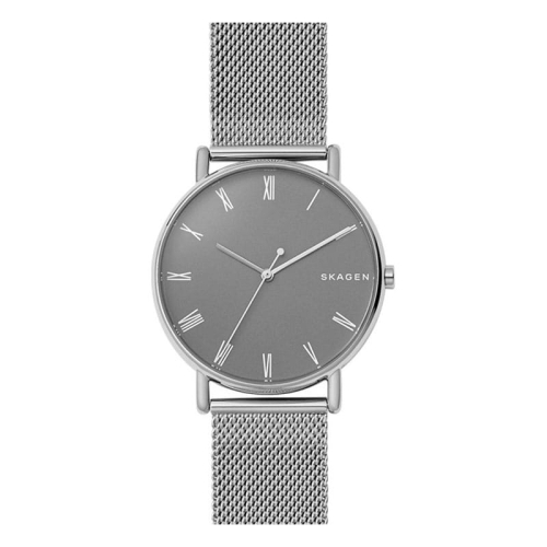 Zegarek Skagen Signatur SKW6428