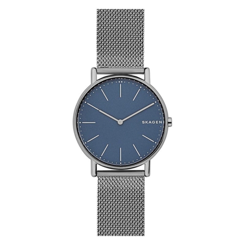 Zegarek Skagen Signatur Titanium SKW6420