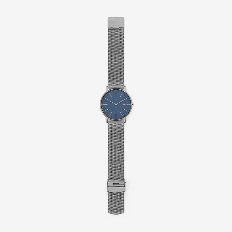 Skagen Signatur Titanium SKW6420 Twoje Zegarki