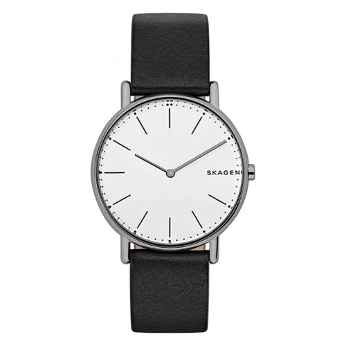 Zegarek Skagen Signatur Titanium SKW6419