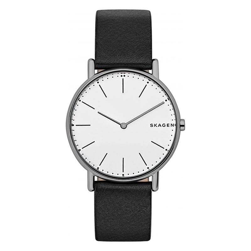 Skagen Signatur Titanium SKW6419 Twoje Zegarki