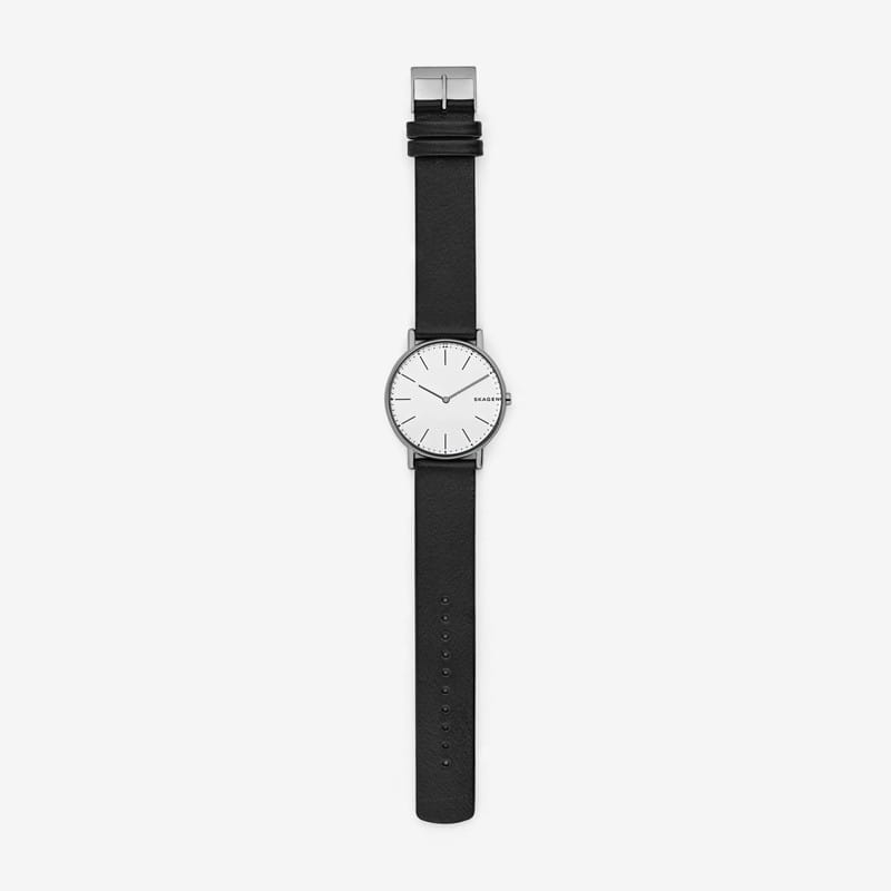 Skagen Signatur Titanium SKW6419 Twoje Zegarki