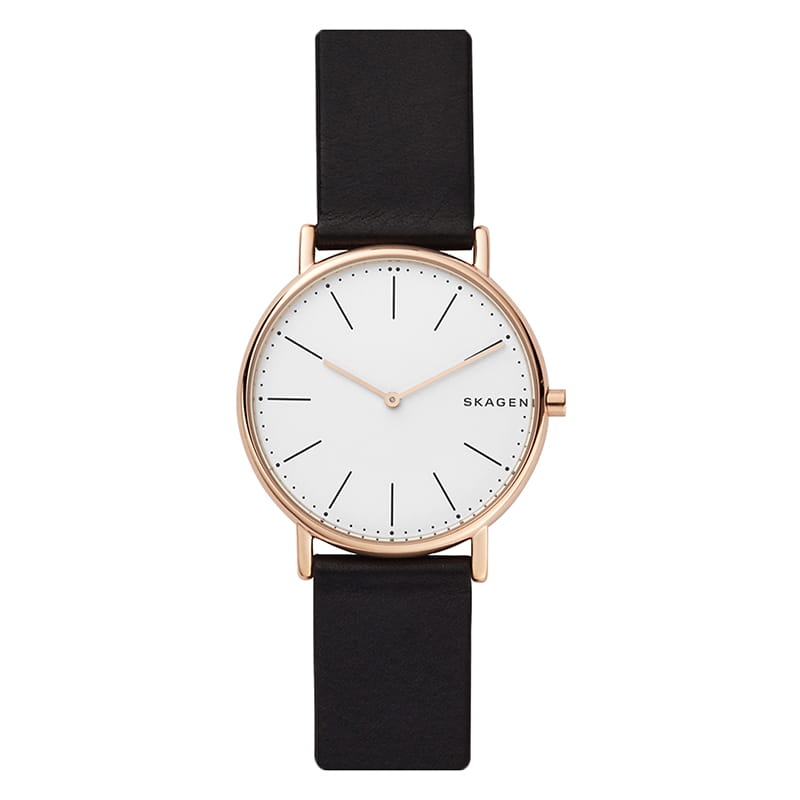 Skagen Signatur Titanium SKW6430 Twoje Zegarki