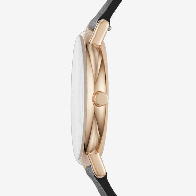 Skagen Signatur Titanium SKW6430 Twoje Zegarki