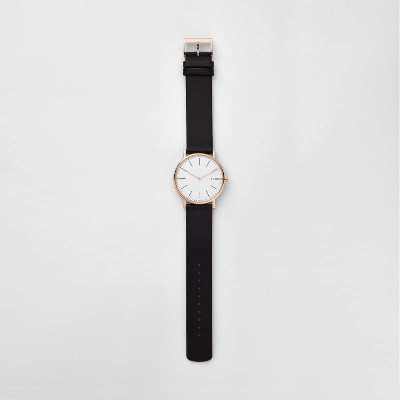 Skagen Signatur Titanium SKW6430 Twoje Zegarki