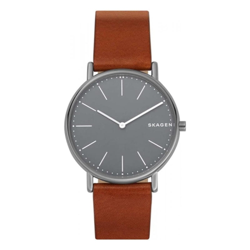 Zegarek Skagen Signatur Titanium SKW6429