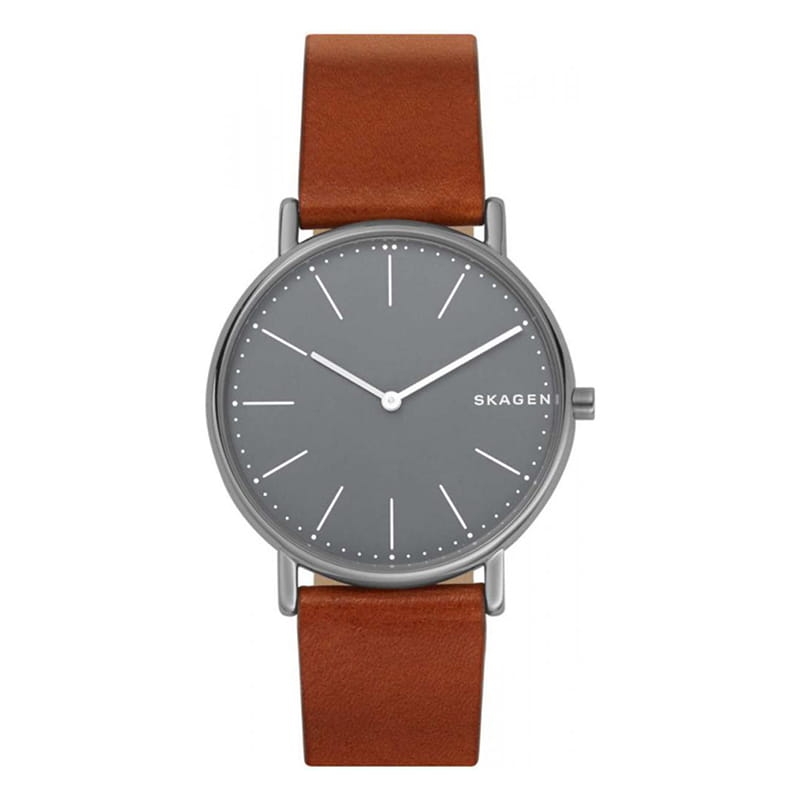 Skagen Signatur Titanium SKW6429 Twoje Zegarki