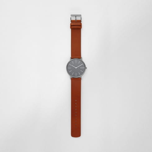 Skagen Signatur Titanium SKW6429 Twoje Zegarki