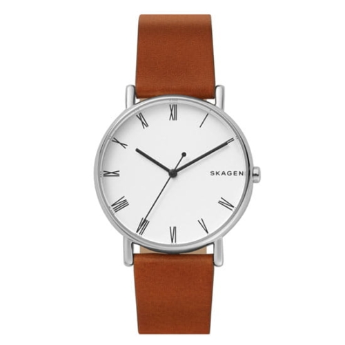 Zegarek Skagen Signatur SKW6427