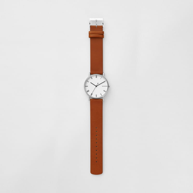 Skagen Signatur SKW6427 Twoje Zegarki