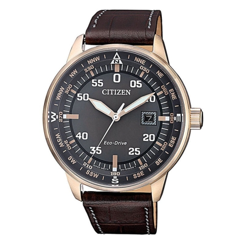 Zegarek Citizen Sport BM7393-16H