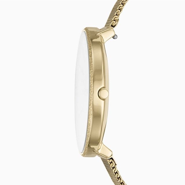 Skagen Karolina SKW2722 Twoje Zegarki