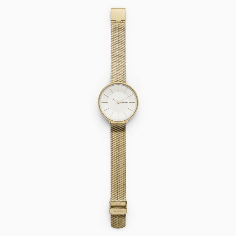 Skagen Karolina SKW2722 Twoje Zegarki