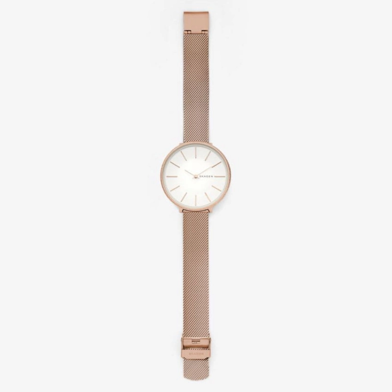 Skagen Karolina SKW2726 Twoje Zegarki