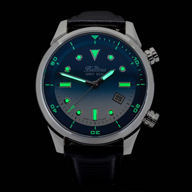 Balticus Grey Seal II Blue Twoje Zegarki