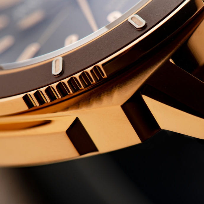 Alpina Seastrong Diver 300 AL-525LBBR4V4 Twoje Zegarki