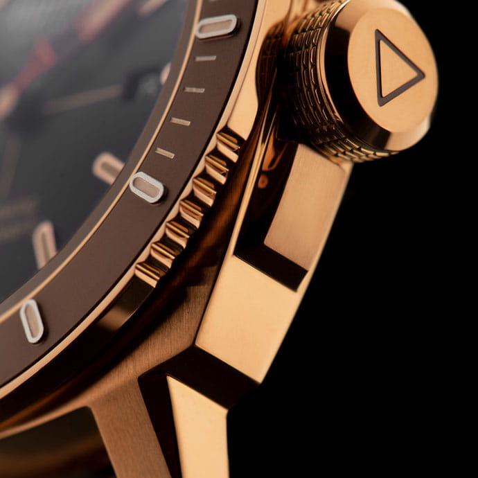 Alpina Seastrong Diver 300 AL-525LBBR4V4 Twoje Zegarki