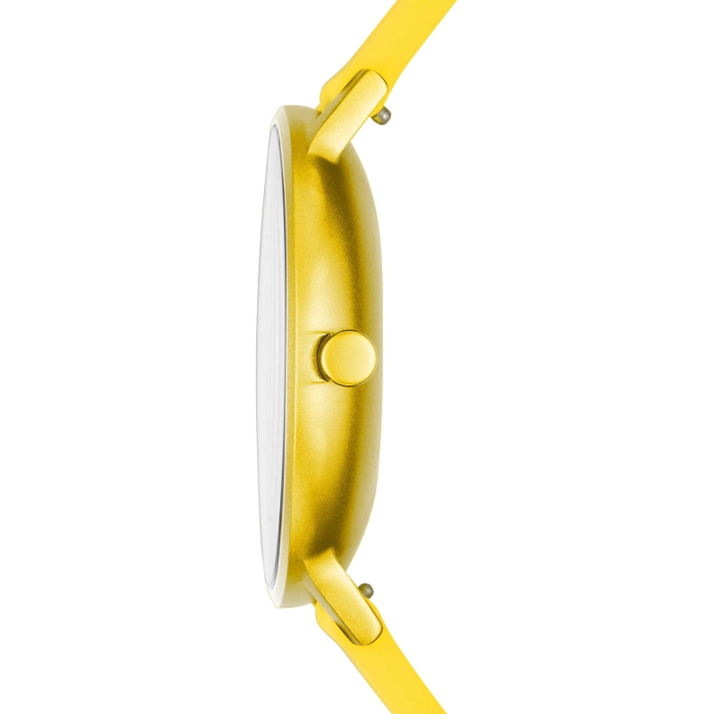 Skagen Aaren Kulor Lady SKW2820 Twoje Zegarki
