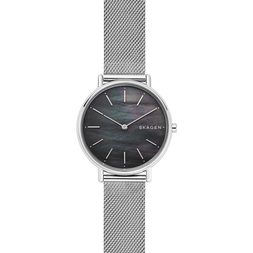 Zegarek Skagen Signatur SKW2730