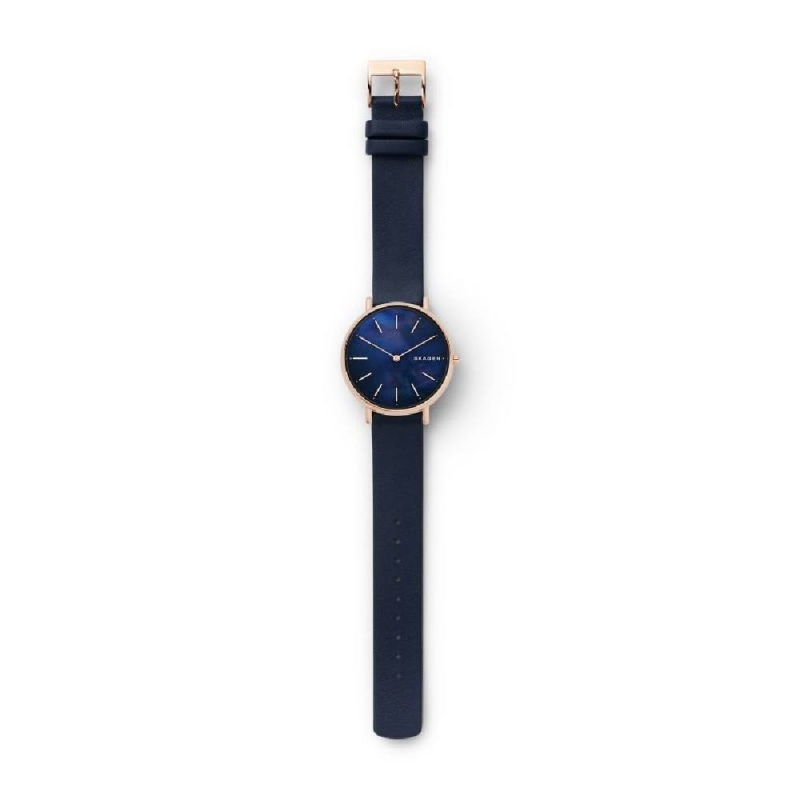 Skagen Signatur SKW2731 Twoje Zegarki