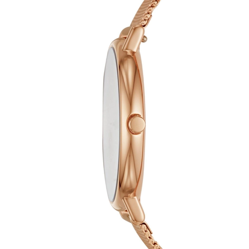 Skagen Signatur SKW2732 Twoje Zegarki