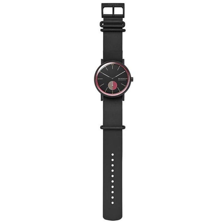 Skagen Sigantur SKW6540 Twoje Zegarki