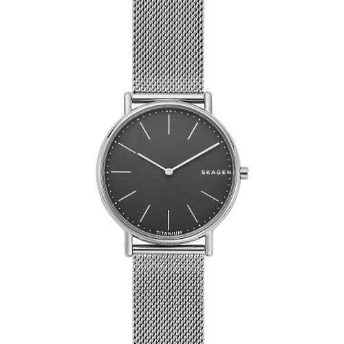 Zegarek Skagen Signatur Titanium SKW6483