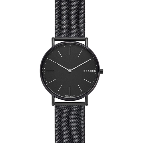 Zegarek Skagen Signatur Titanium SKW6484