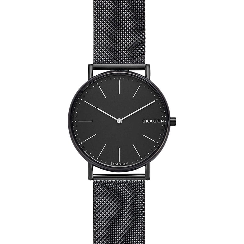 Skagen Signatur Titanium SKW6484 Twoje Zegarki