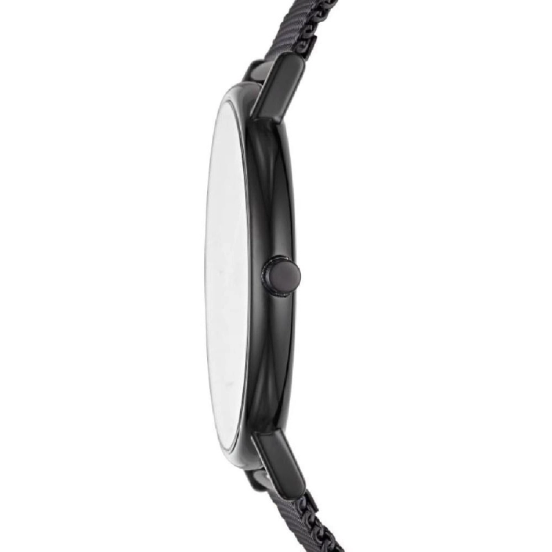 Skagen Signatur Titanium SKW6484 Twoje Zegarki